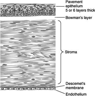 Figure 1-10