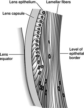 Figure 1-14