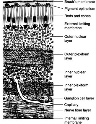 Figure 1-17