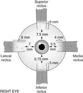 Figure 1-18