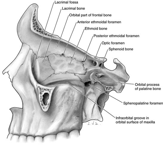 Figure 1-2