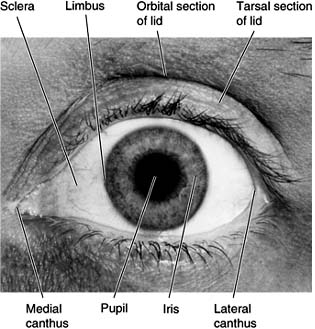 Figure 1-21