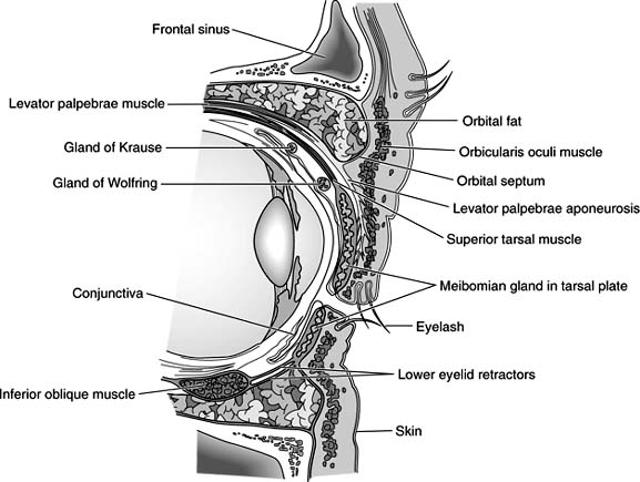 Figure 1-22