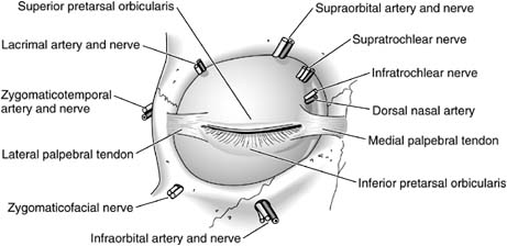 Figure 1-23