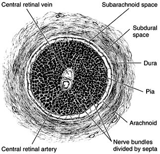 Figure 1-25