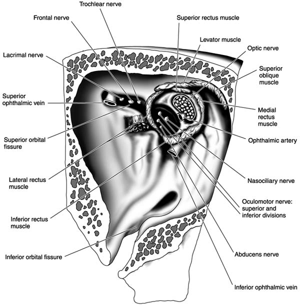 Figure 1-3