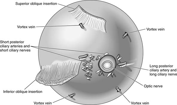 Figure 1-8