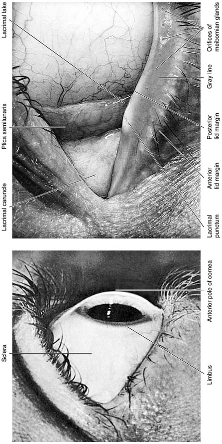 Figure 1-9