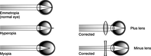 Figure 2-1