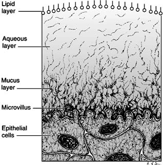 Figure 4-16