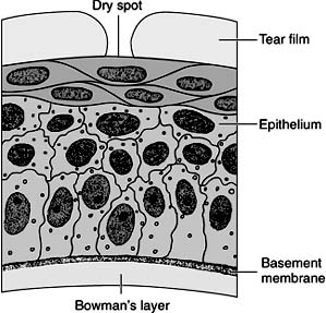 Figure 4-19