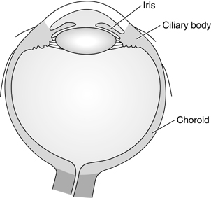 Figure 7-1