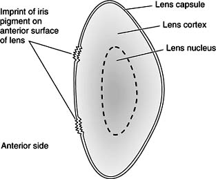 Figure 8-8