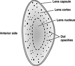 Figure 8-9