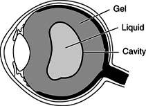 Figure 9-7