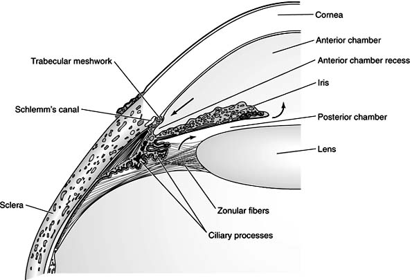 Figure 11-1