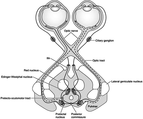 Figure 14-30