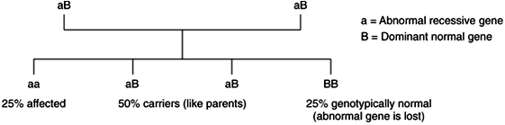 Figure 18-3