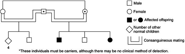 Figure 18-4